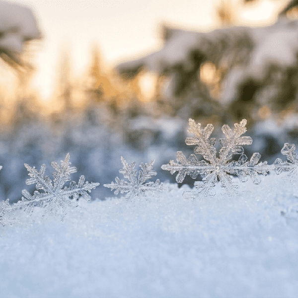 snow background
